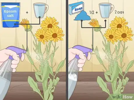 Image titled Create a Bee‐Friendly Garden Step 12