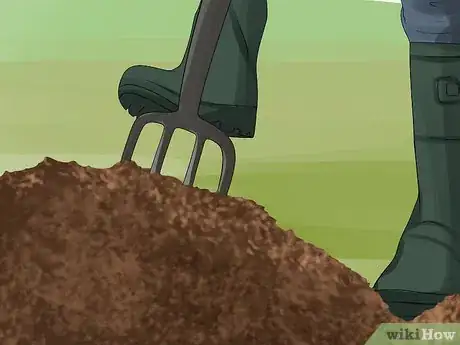 Image titled Grow Dahlias Step 7