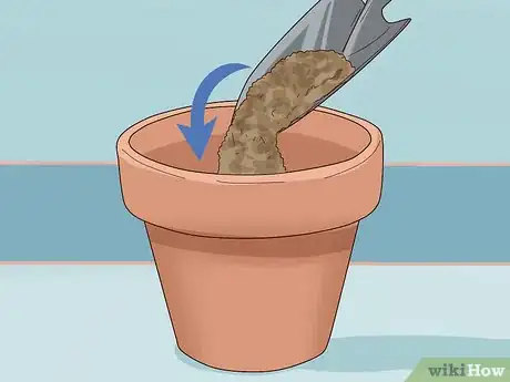 Image titled Grow Lettuce Indoors Step 2