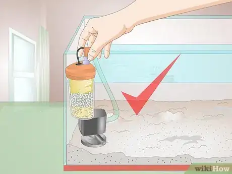 Image titled Cure Red Slime Algae in Marine Aquariums Step 5