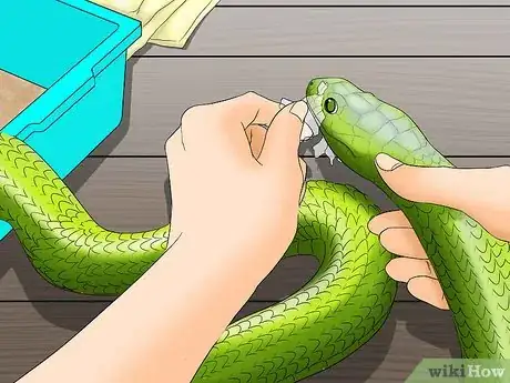 Image titled Help a Shedding Pet Reptile Step 10
