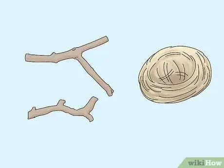 Image titled Choose a Finch Step 11