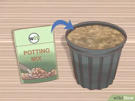 Image titled Plant Jackfruit Step 3