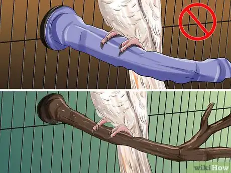 Image titled Treat Bumblefoot in Cockatoos Step 11