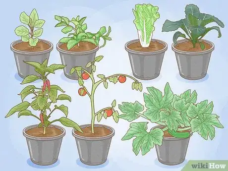 Image titled Grow a Container Garden Step 1
