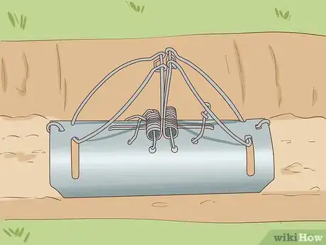 Image titled Get Rid of Garden Moles Step 4