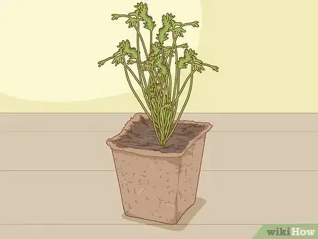 Image titled Plant a Woolworths Discovery Garden Step 13