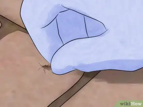 Image titled Get Rid of Boxelder Bugs Step 1