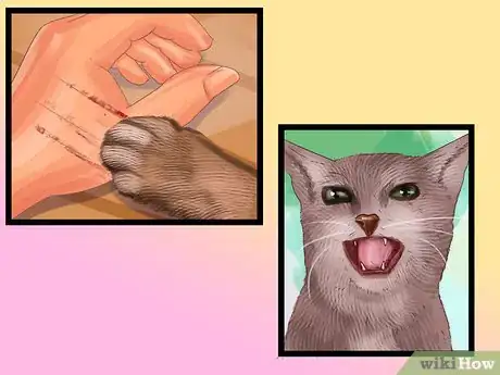 Image titled Find a Pet Behaviorist for Your Cat Step 5