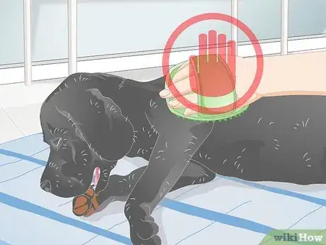 Image titled Make Grooming Comfortable for Older Dogs Step 7