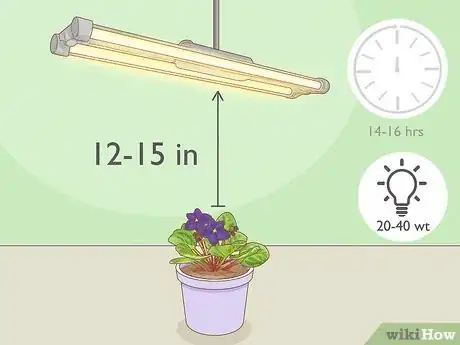 Image titled What Kind of Sunlight Is Best for African Violets Step 7