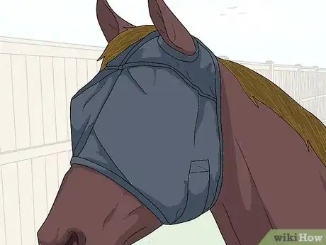 Image titled Protect an Injured Eye on a Horse Step 8