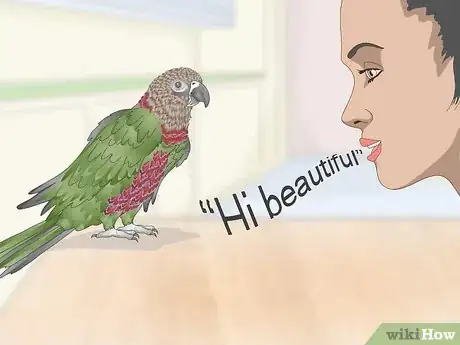 Image titled Teach a Hawk‐Headed Parrot to Speak Step 3