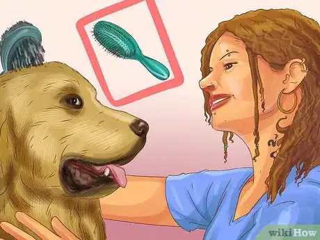 Image titled Groom a Thick Furred Dog Step 15
