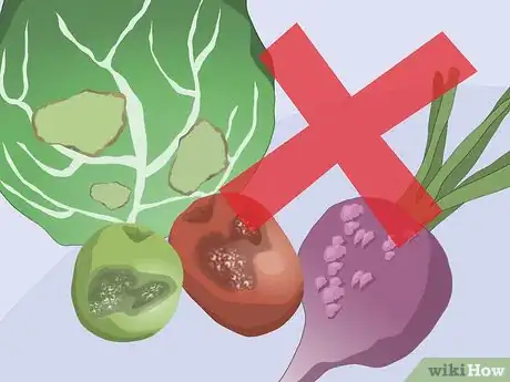 Image titled Store Produce in a Root Cellar Step 4