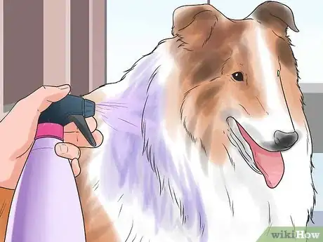 Image titled Dye Your Pet Step 8
