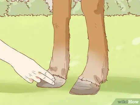 Image titled Prevent Laminitis in Horses Step 13