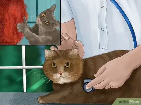 Image titled Identify and Treat Noise Phobias in Cats Step 8