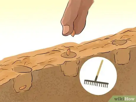 Image titled Harvest Heartsease Step 4