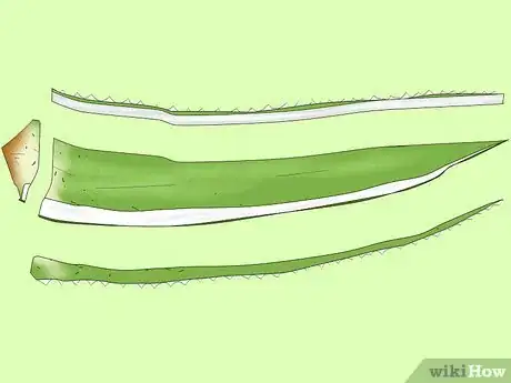 Image titled Use Fresh Aloe Vera Step 1