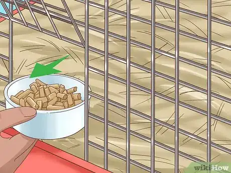 Image titled Treat Diarrhea in Rabbits Step 7