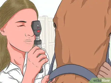 Image titled Protect an Injured Eye on a Horse Step 4