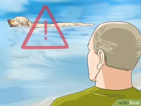 Image titled Protect Your Dog Around Natural Water Sources Step 13