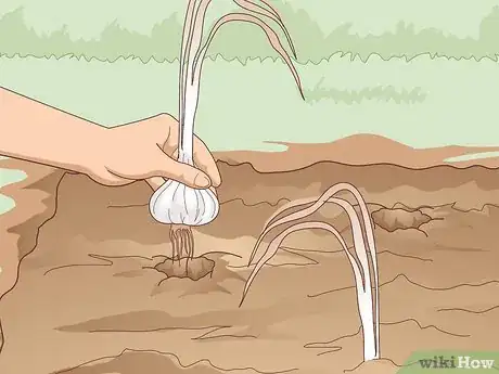 Image titled Keep Nutrients in Frozen Vegetables Step 3