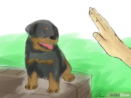 Image titled Train Your Rottweiler Puppy With Simple Commands Step 4
