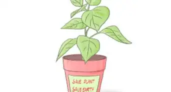 Start Guerrilla Gardening