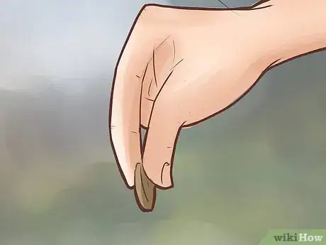 Image titled Be Rich on Stardoll Step 1