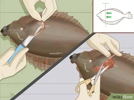Image titled Prepare Fish Step 33