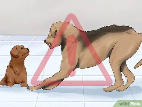 Image titled Introduce a New Dog to Your Senior Dog Step 15