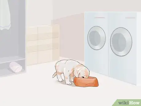Image titled Feed a Fussy Puppy Step 12