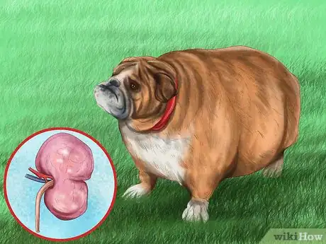 Image titled Reprimand a Pet Step 3