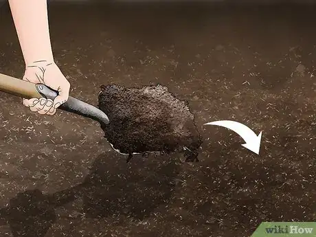 Image titled Grow Oca Step 7