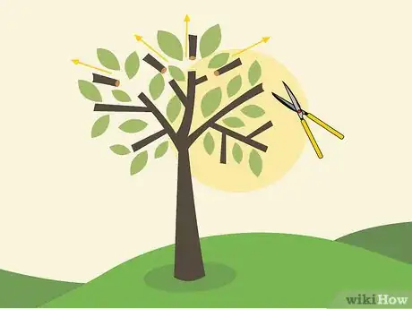 Image titled Prune an Avocado Tree Step 08