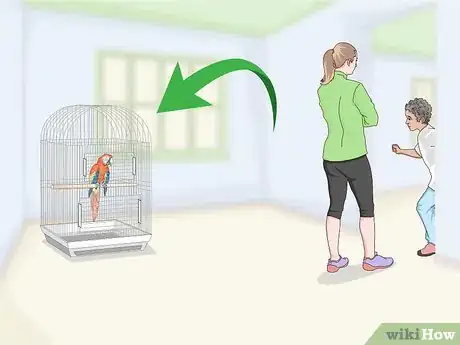 Image titled Set Up a Macaw Habitat Step 5