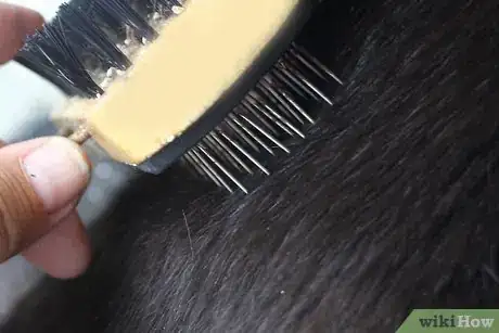 Image titled Make a Homemade Cat Spa Step 10