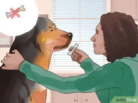 Image titled Teach Your Dog to Bolt from a Standing Start Step 10