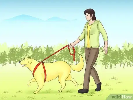 Image titled Help Pets Cope with the Back‐to‐School Transition Step 8