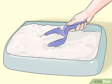 Image titled Care for a Balinese Step 3