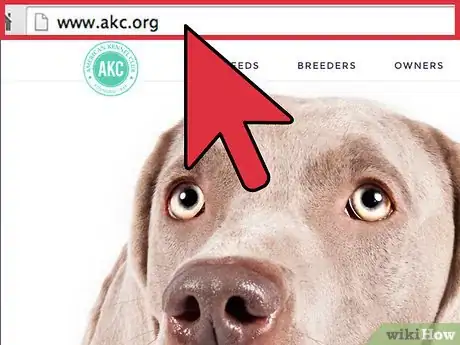 Image titled Buy a Labrador Retriever Puppy Step 9