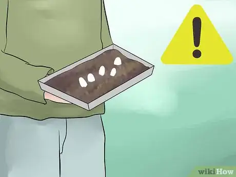 Image titled Take Care of Lizard Eggs Step 10