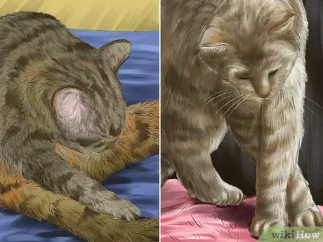 Image titled Understand Your Cat's Behavior Step 12