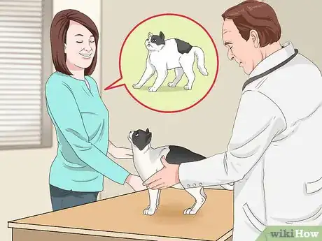 Image titled Schedule Wellness Exams for a Senior Cat Step 6