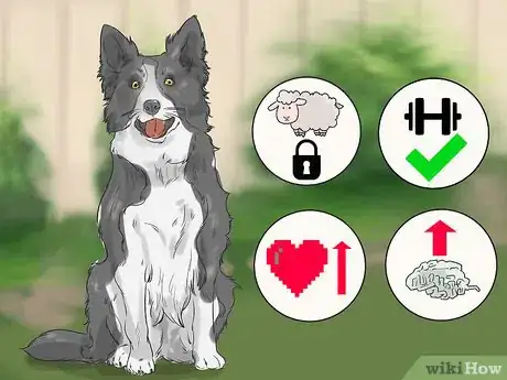 Image titled Choose a Dog That's Easy to Train Step 5