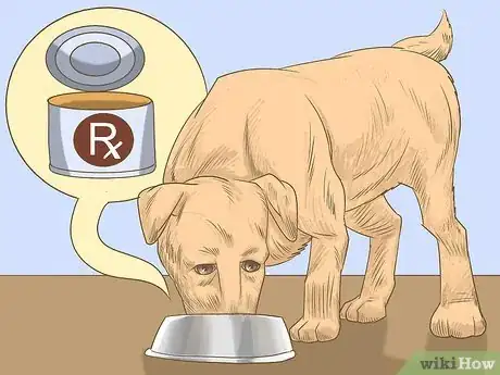 Image titled Get a Dog to Eat Step 7