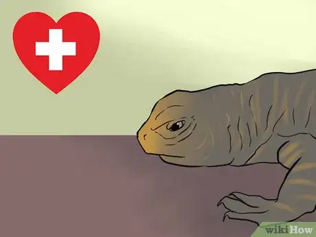 Image titled Care for Uromastyx Lizards Step 12