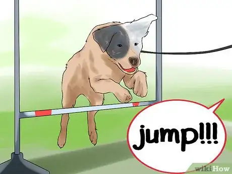 Image titled Get Your Dog to Jump Poles Step 6